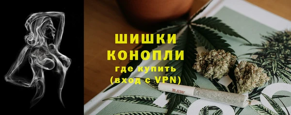 дживик Дмитров