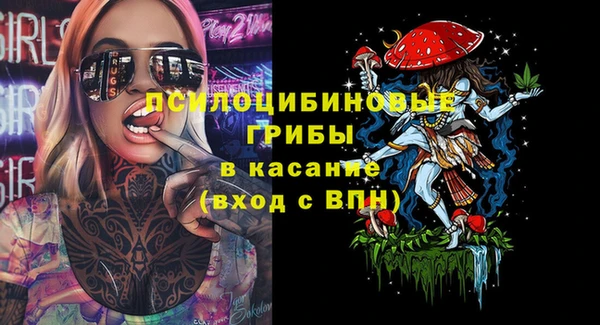 гашик Дмитровск