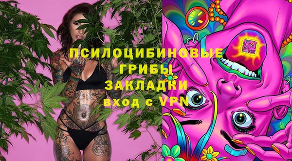 дживик Дмитров