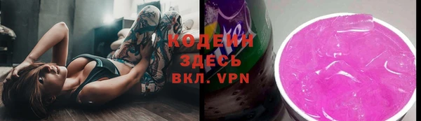 Альфа ПВП Дмитриев
