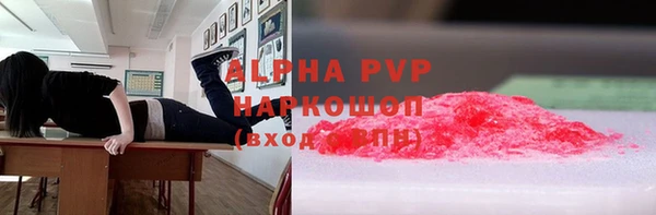гашик Дмитровск