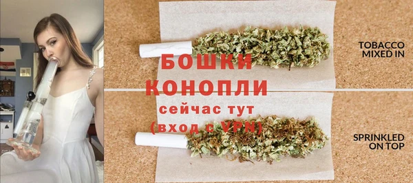 дживик Дмитров