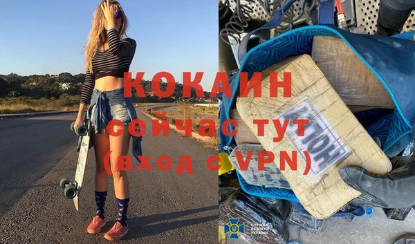 гашик Дмитровск