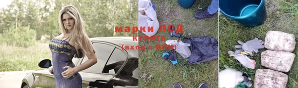 дживик Дмитров