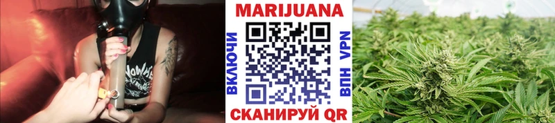 Купить где  Самара  Бошки марихуана Amnesia 
